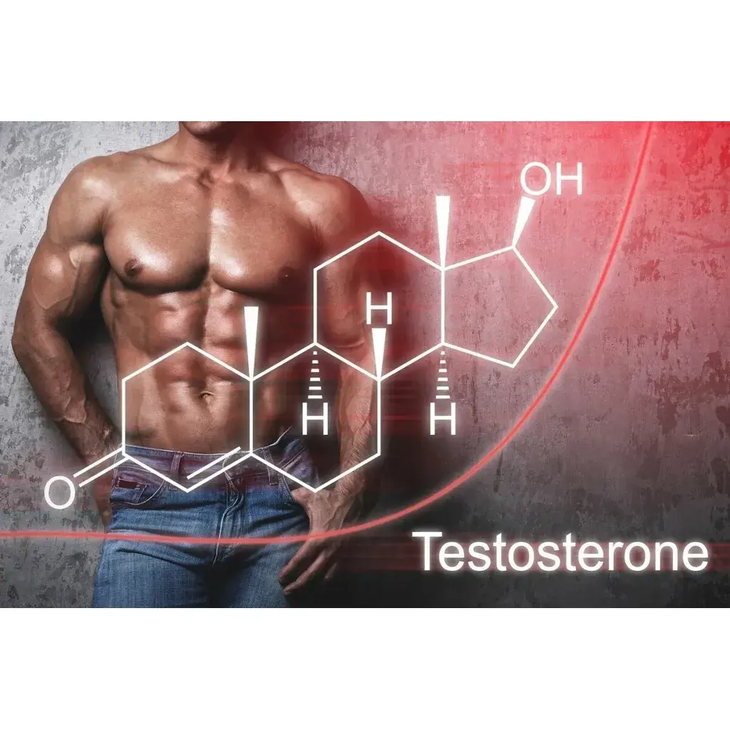 Increase Testosterone Levels Increase Testosterone Levels