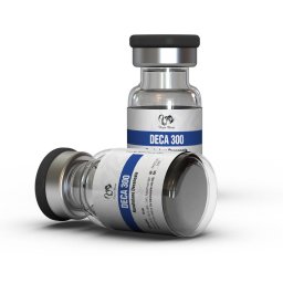 Deca 300 Image