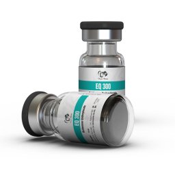 EQ 300 Image