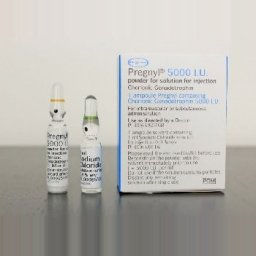 Pregnyl Image
