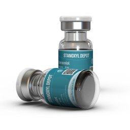 Stanoxyl Depot Image