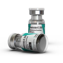 Testolab-E 250 Image