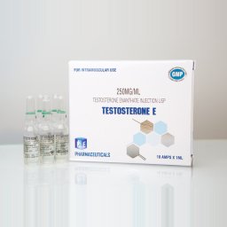Testosterone E Image