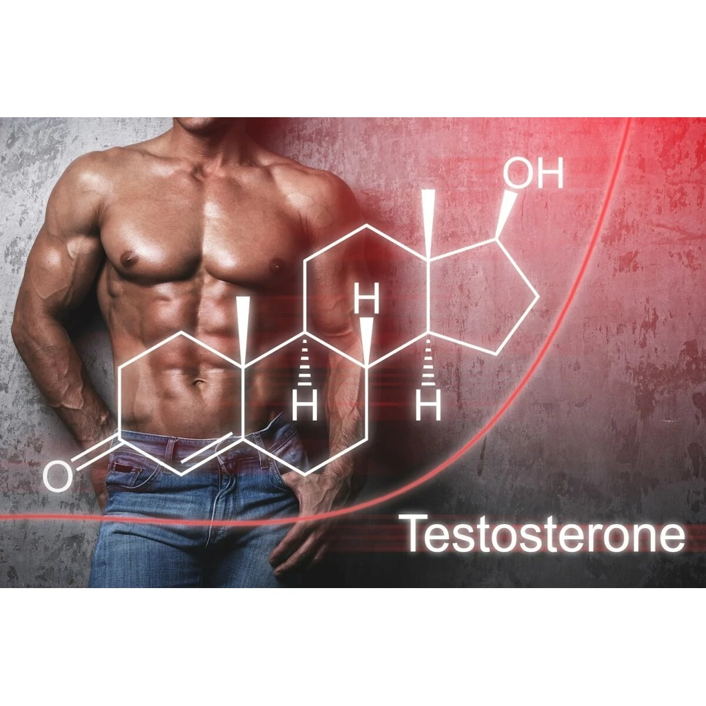Increase Testosterone Levels Increase Testosterone Levels