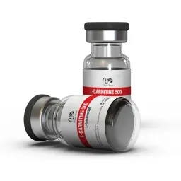 L-Carnitine 500 L-Carnitine 500