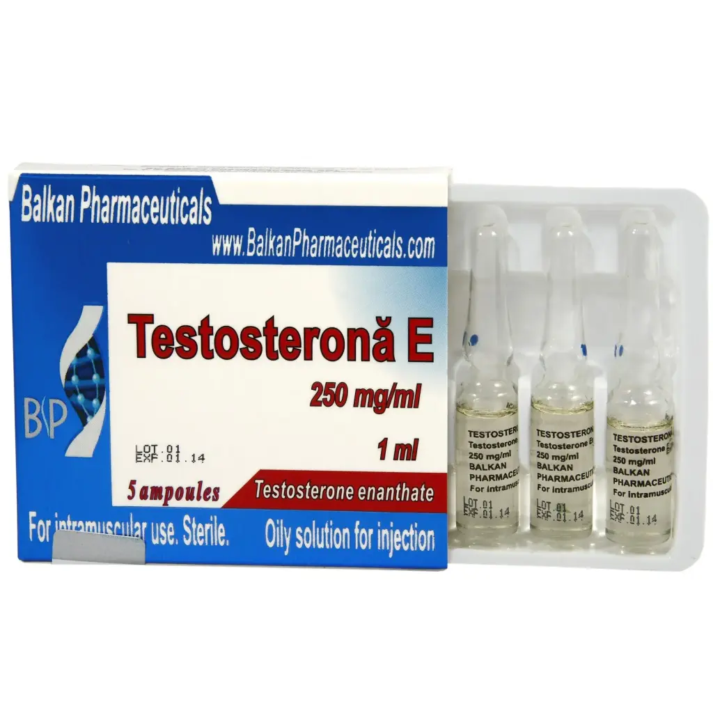 Testosterone E Testosterone E