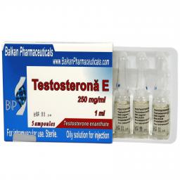 Testosterone E - Testosterone Enanthate - Balkan Pharmaceuticals