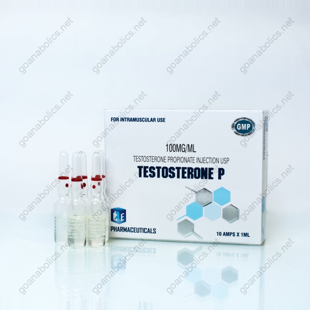 Testosterone P Testosterone P